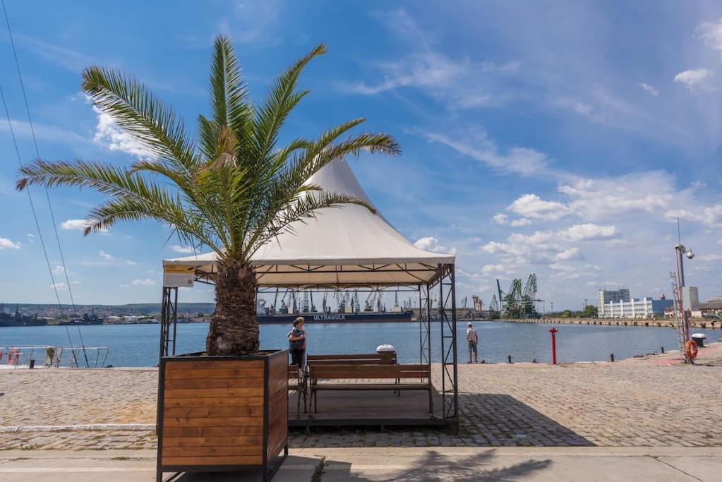 Studio Porto Varna Luaran gambar