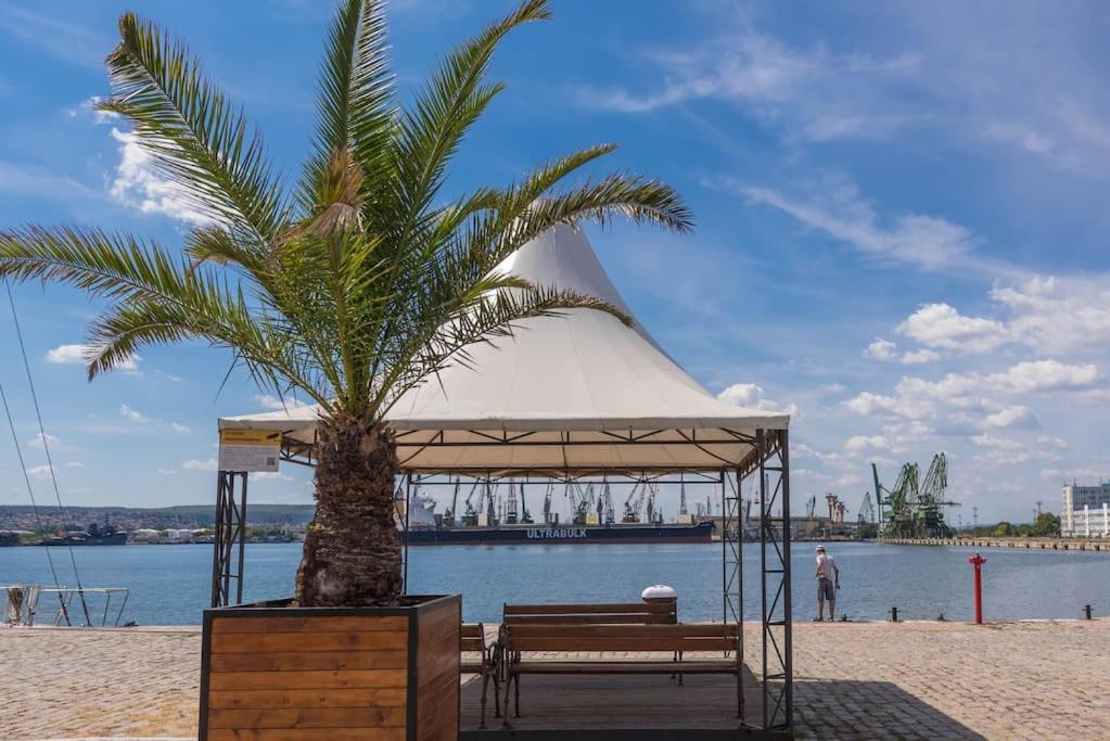 Studio Porto Varna Luaran gambar